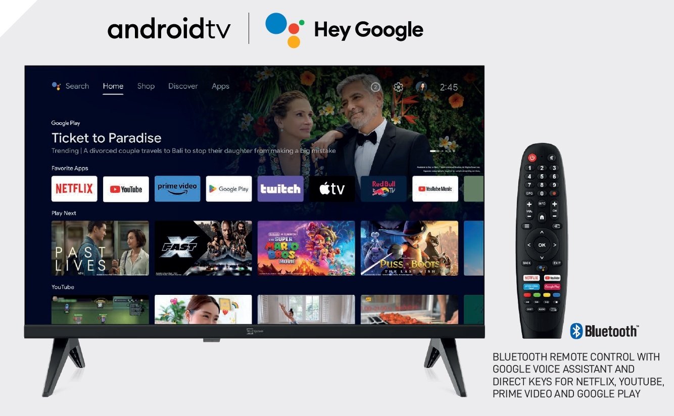 Full HD Smart TV 22tum 12V DC 100-240V för båt husvagn husbil DVB-T2 DVB-S2 VESA 100x100 PALCO 22SMART