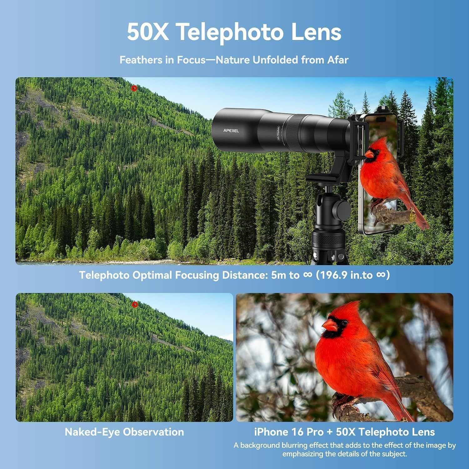 APEXEL Telecular 20–60x professionellt kompakt zoomobjektiv för smartphones