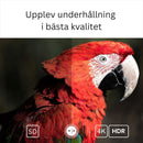 Google Certified TV Stick 4K HDR Android TV 14 WiFi Play Store Supports Netflix, YouTube, Disney+